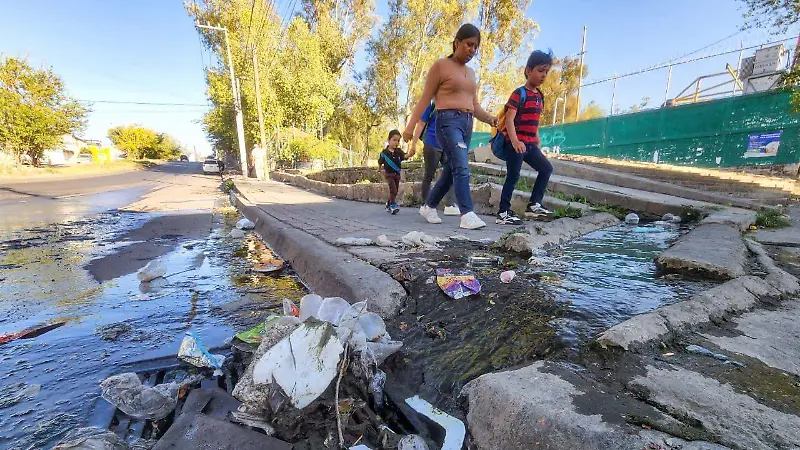 Manantiales ubicados en la ZMG1